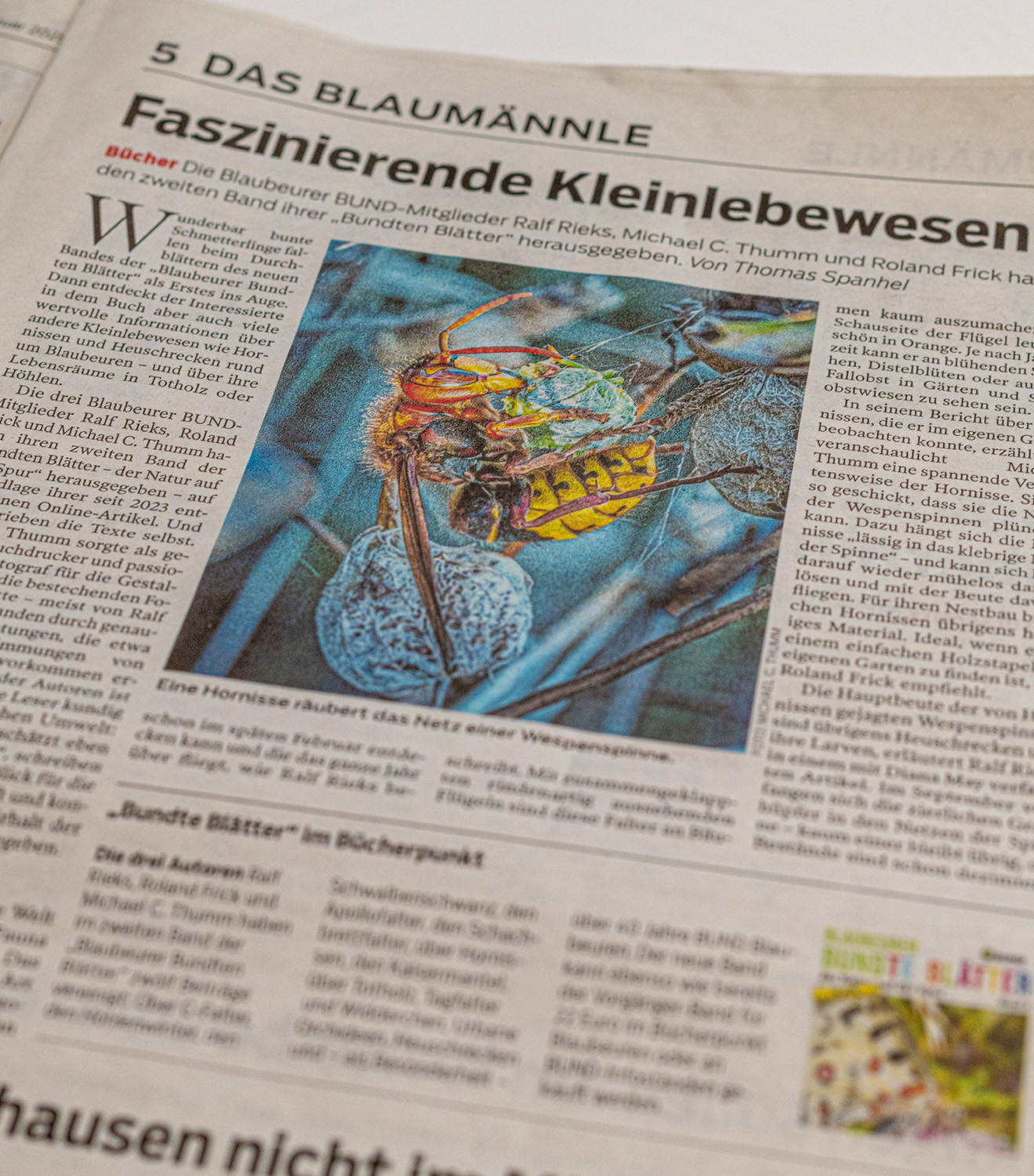 Pressebericht in der SWP