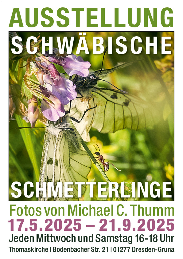 Aktuelle Ausstellung