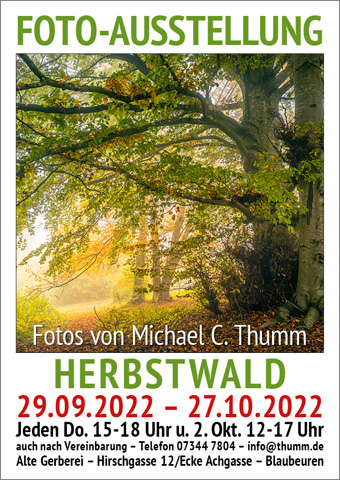 Plakat Herbstwald 2022