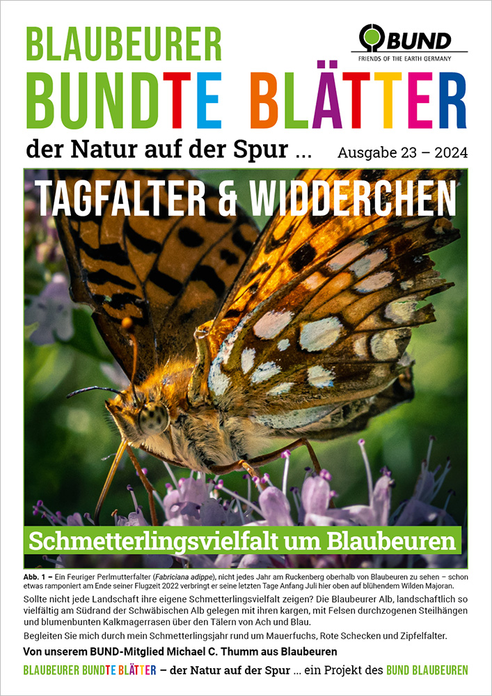 Beitrag über Tagfalter und Widderchen