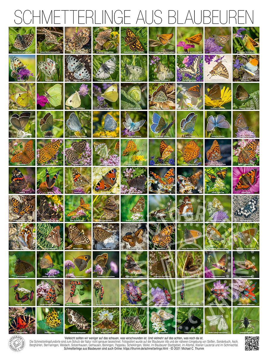 Schmetterlingstafel (60x80cm) mit 99 Abbildungen