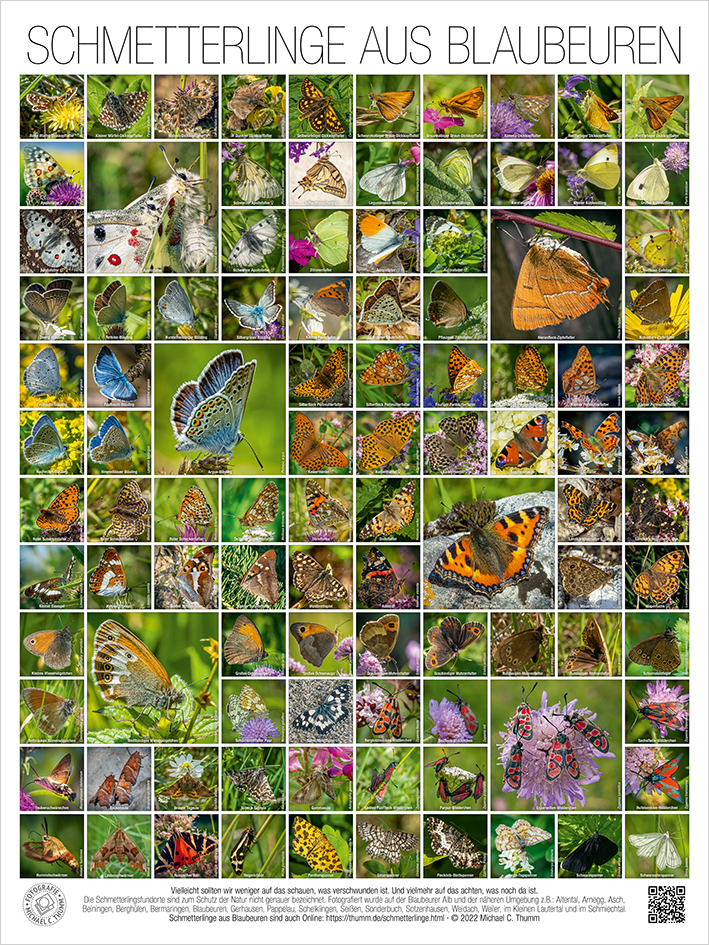 Schmetterlingstafel (60x80cm) mit 102 Abbildungen